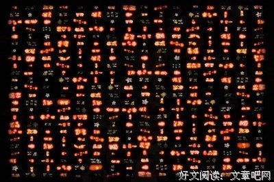 《觉醒的方舟》观后感摘抄