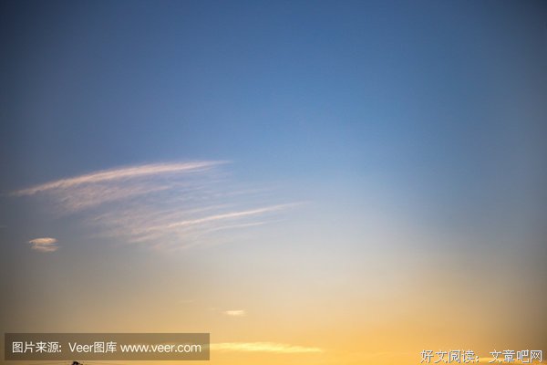 夜蟬读后感100字