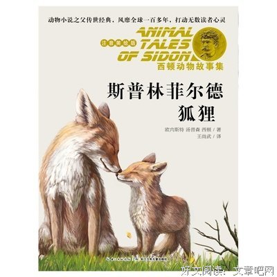 逃家小兔经典读后感有感