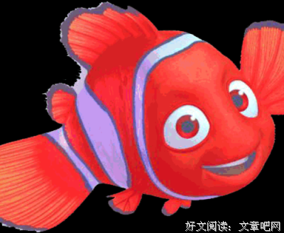 鱼读后感1000字