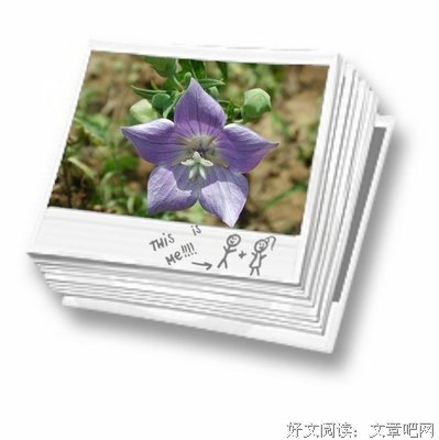 凉意♥入梦经典名句