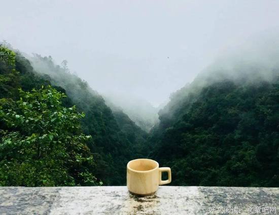 人生如茶（深刻） 