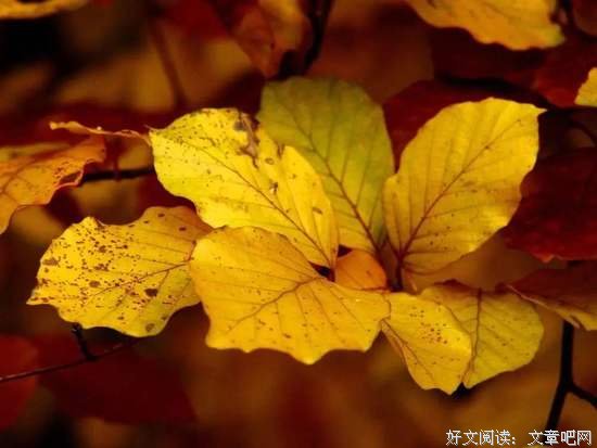 首先做人，做普通的人