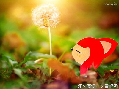 情节语录