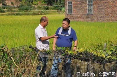 动容的句子
