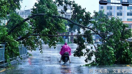 有关陌宇言的句子