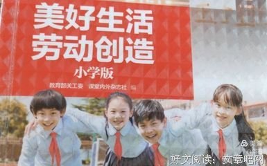 《芒市边民的摆》读后感100字