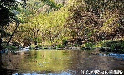 最经典的锦言妙鱼名言大全