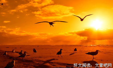 最新的《云心叫并数地有个小卖部》经典语录