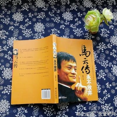 马云传读后感摘抄