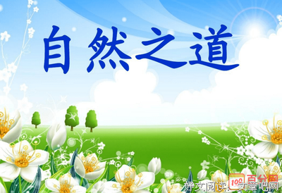 《选择之道》经典读后感有感