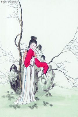 《淑女之家》读后感精选