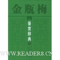 《金瓶梅（上中下三册）》读后感锦集