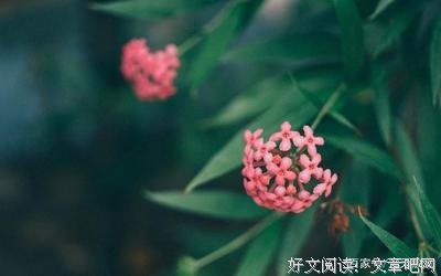 梦落浮华红尘好词好句