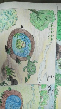 关于井底之蛙的唯美语录
