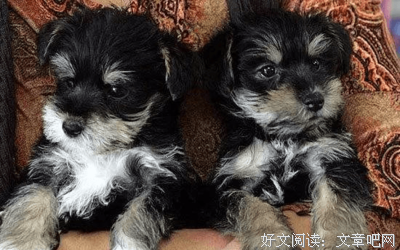 活着究竟为什么