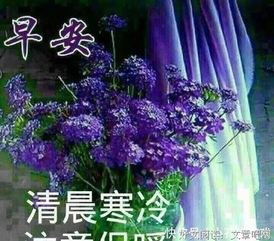 《纸上流年》的句子