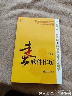 《走出软件作坊》读后感100字