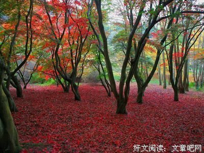 《女性的品格》读后感100字