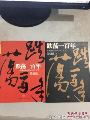 《跌荡一百年（上）》读后感锦集