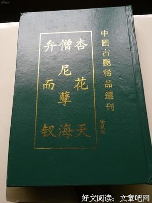 《弁而釵》读后感锦集