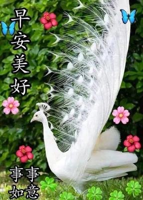 当离开以成注定句子