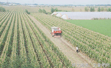 梦境の色经典名句