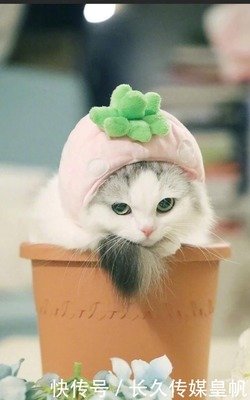 累了句子