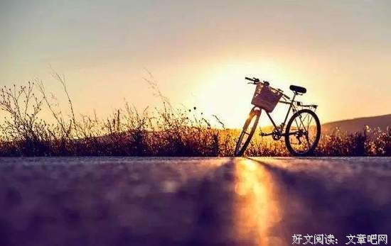 生命的本质就是应对麻烦 