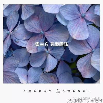 随风而逝的名句_关于随风而逝的名句