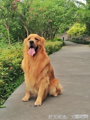关于心情咖啡的句子