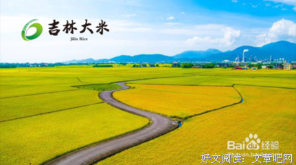 除了坚强，我别无选择！