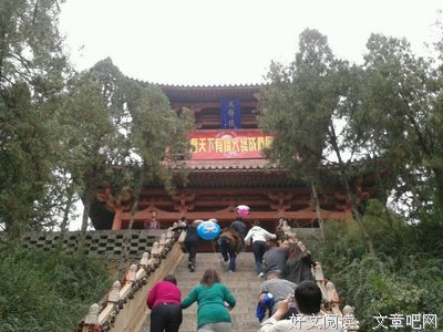 听说你还相信爱情读后感锦集
