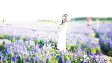 《宛若恋歌》的读后感大全