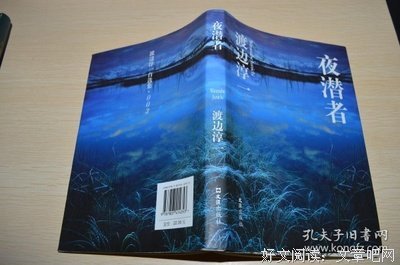 夜潜者读后感100字