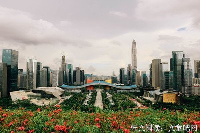 《泄密的心》的影评大全