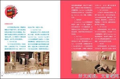 玩偶私囊经典读后感有感