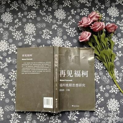 《再见福柯》读后感摘抄