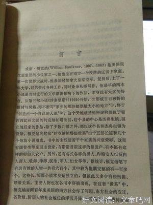 喧哗与骚动读后感1000字