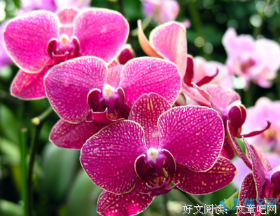生命好词好句