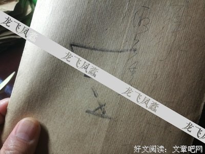 《博物馆的来访者》观后感摘抄