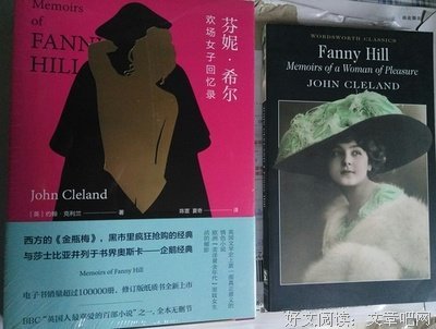 《芬妮希尔》好看吗？经典观后感锦集