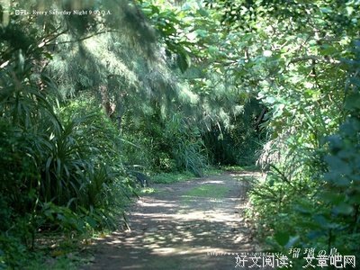 《瑠璃之岛》经典影评集