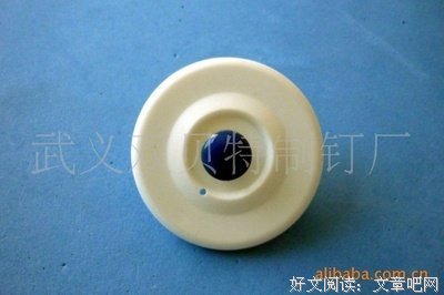 文月·青岚读后感1000字