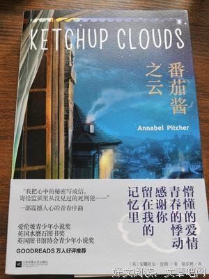 《非是非非》读后感精选