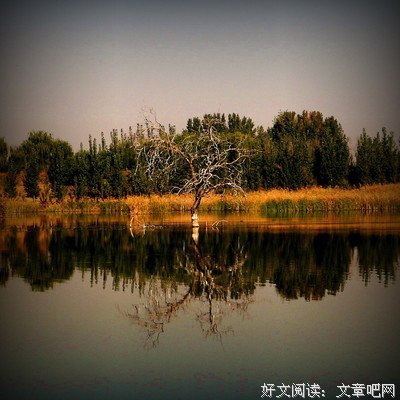 《正气大侠》的影评大全