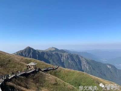 《一级恐惧》的观后感大全