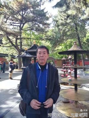 苍茫时分读后感锦集