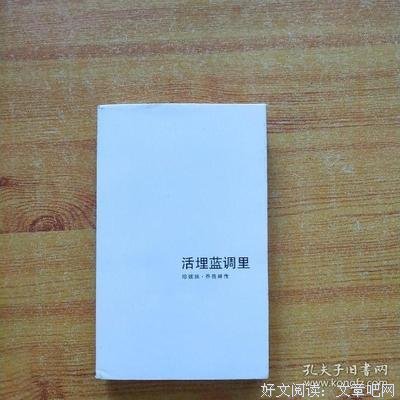 活埋蓝调里读后感锦集
