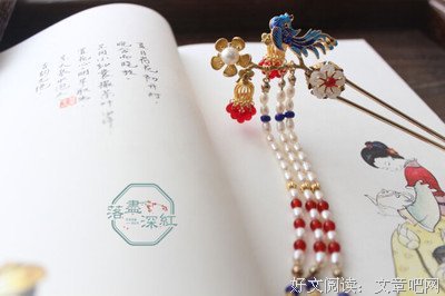 金屋恨的读后感大全